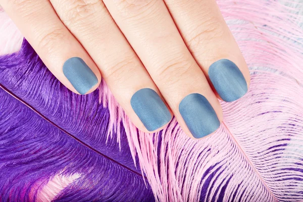 Mão com unhas manicured fosco azul no fundo de penas — Fotografia de Stock