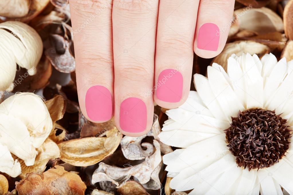 Hand with pink matte manicured nails