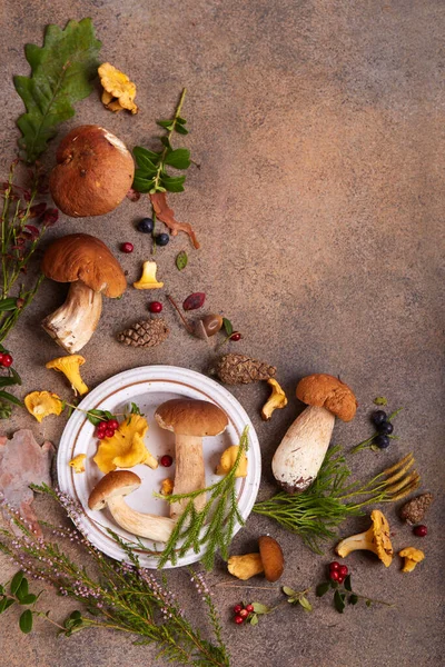 Stillleben Mit Essbaren Waldpilzen Steinpilzen Pfifferlingen Birkenpilzen Beeren Zapfen Blättern — Stockfoto