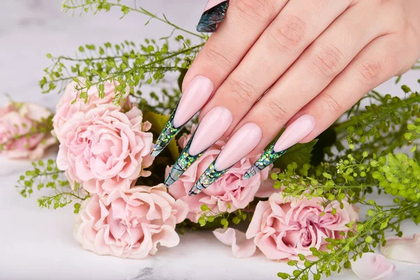 Mão Com Longas Unhas Manicure Verde Artificial Francês Rosa Rosa — Fotografia de Stock