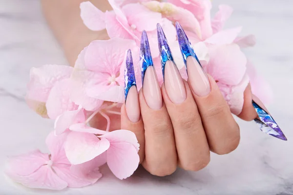 Mano Con Lunghe Unghie Artificiali Blu Francese Curati Rosa Fiore — Foto Stock