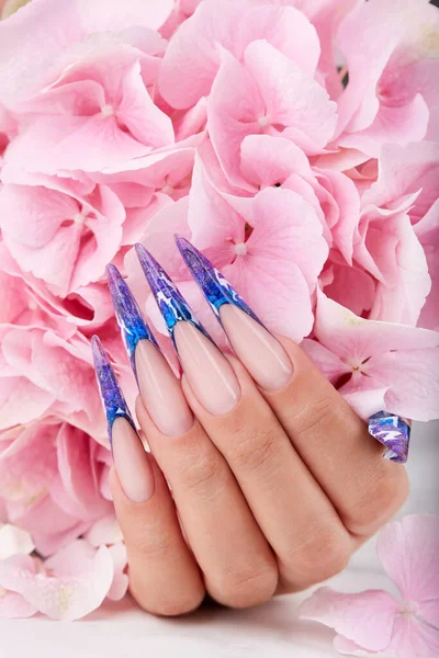 Hand Met Lange Kunstmatige Blauwe Franse Gemanicuurde Nagels Roze Hortensia — Stockfoto