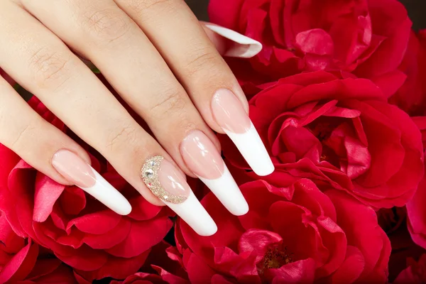 Hand with french manicure and red roses — Stock fotografie