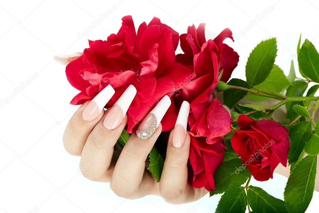 Hand with french manicure holding a red rose