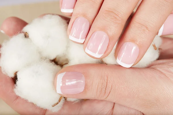 Handen met french manicure houden een katoen bloem — Stockfoto