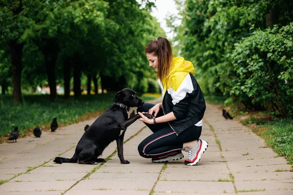 Şirin siyah köpek parktaki genç bir kıza pençe veriyor..
