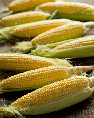 Taze yerel organik mısır