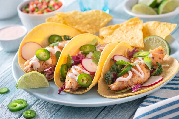 Lahodné Tradiční Pikantní Rybí Tacos Jalapeno Koriandrem Zelím Ředkvičkou — Stock fotografie