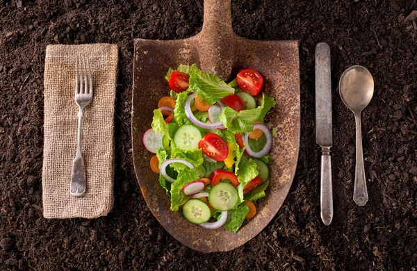 Locally grown garden salad on rusted shovel. — Stock Photo, Image