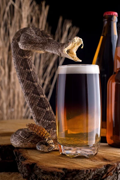 Укус отруйної змії коктейль — стокове фото