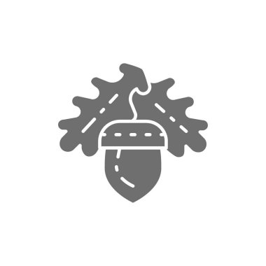 Meşe palamudu, meşe ağacı gri simgesi. Beyaz arkaplanda izole