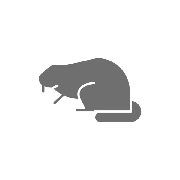 Beaver, water rat grey icon. Isolated on white background — Stock Vector