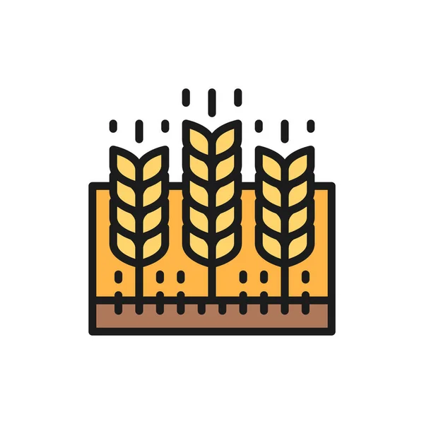 Champ de blé, paysage agricole, terres agricoles ligne de couleur plate icône. — Image vectorielle
