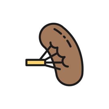 Dalak, insan organı düz renk çizgisi ikonu. Beyaz arkaplanda izole