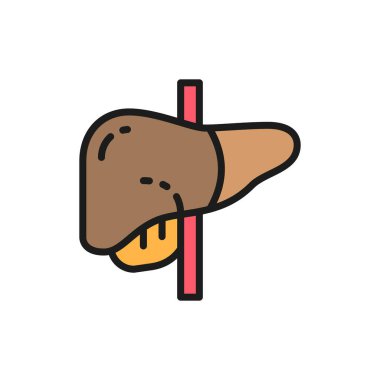 Karaciğer, insan organı düz renk çizgisi simgesi. Beyaz arkaplanda izole