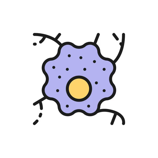 Célula nervosa, neurônio, anatomia humana ícone de linha de cor plana. —  Vetores de Stock