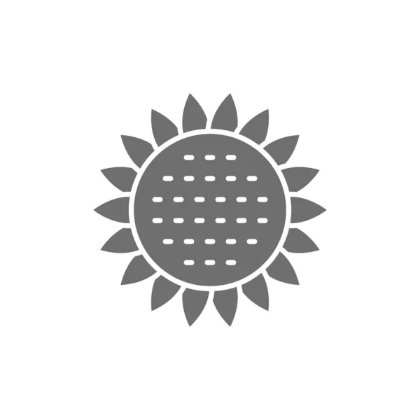 Vektorový slunečnice, květinová šedá ikona. Izolováno na bílém pozadí — Stockový vektor