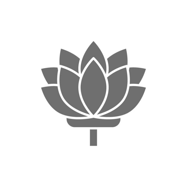 Lotus, индийский цветок серый значок. Изолированный на белом фоне
