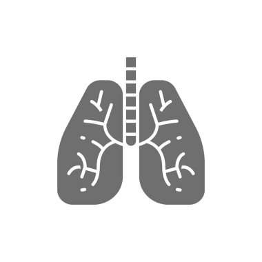 Akciğerler, insan organı gri simgesi. Beyaz arkaplanda izole
