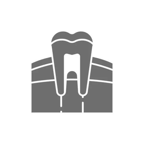 Zub, žvýkačka, zubař, lidská varhanní šedá ikona. — Stockový vektor