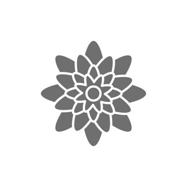 Agave, Meksika çiçekleri gri simge. Beyaz arkaplanda izole