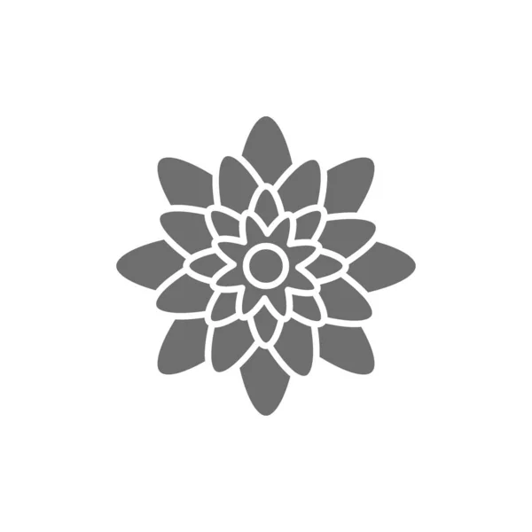 Ágave, flores mexicanas icono gris. Aislado sobre fondo blanco — Vector de stock