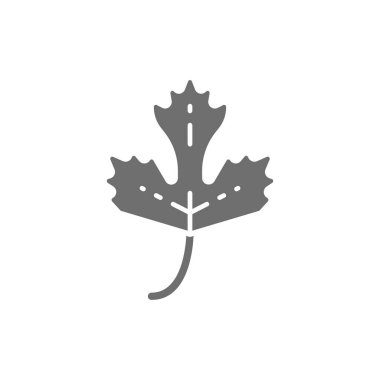 Maydanoz, bitki, baharat grisi ikon. Beyaz arkaplanda izole