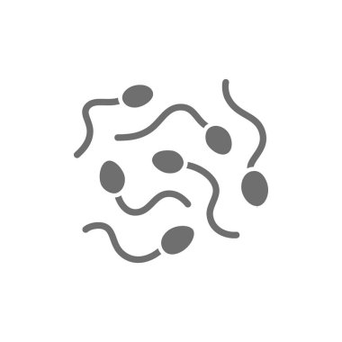 Sperm hücreleri, spermatozoon gri simgesi. Beyaz arkaplanda izole