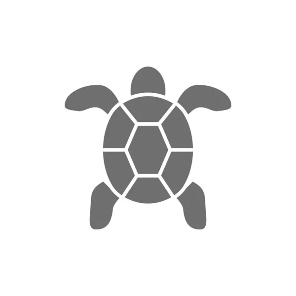 Turtle, aquatic animal grey icon. Isolated on white background — Stock Vector