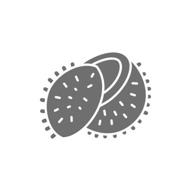 Lychee meyvesi, hindistan cevizi grisi ikon. Beyaz arkaplanda izole