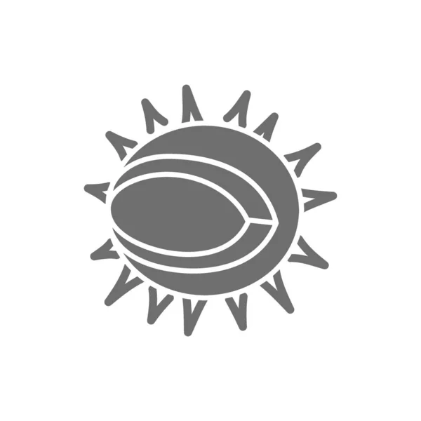 Kaštanově šedá ikona. Izolováno na bílém pozadí — Stockový vektor