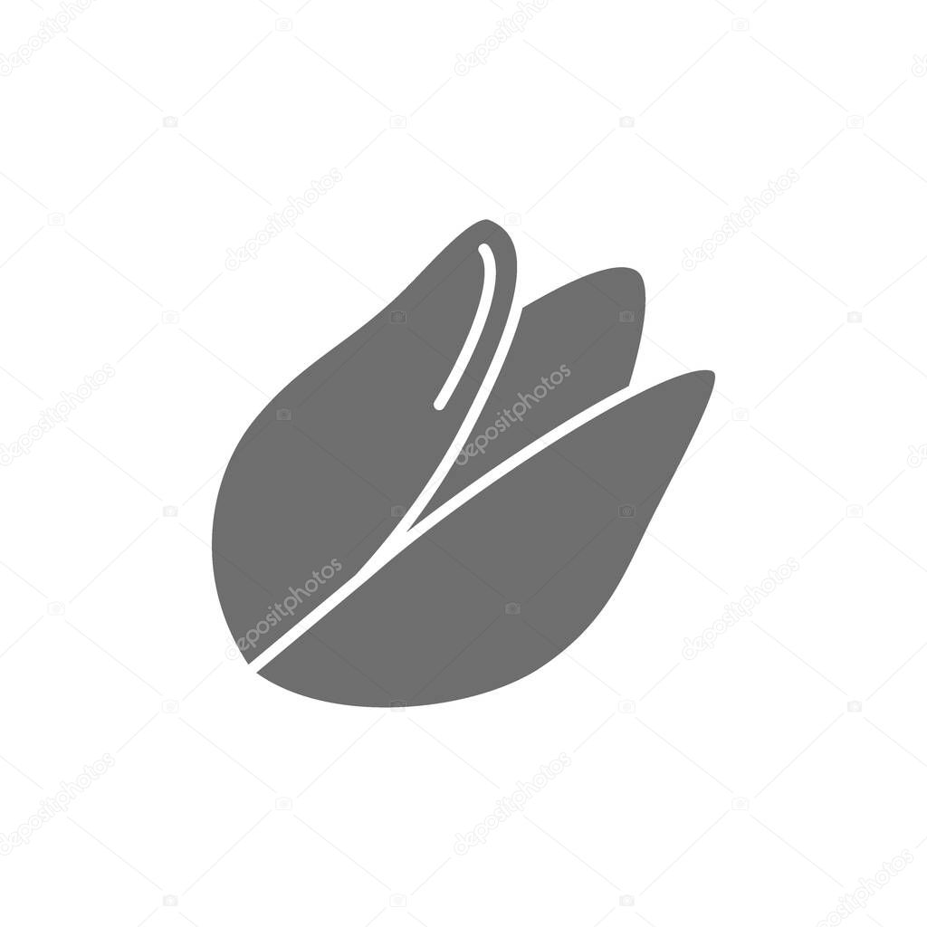 Pistachio nut grey icon. Isolated on white background