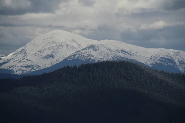 Landschaftsfotografie Eines Der Höchsten Berge Der Ukraine Karpaten Schneebedeckter Gipfel — Stockfoto