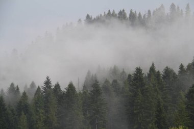 Dağ üstüne yağmur, bulutlar...