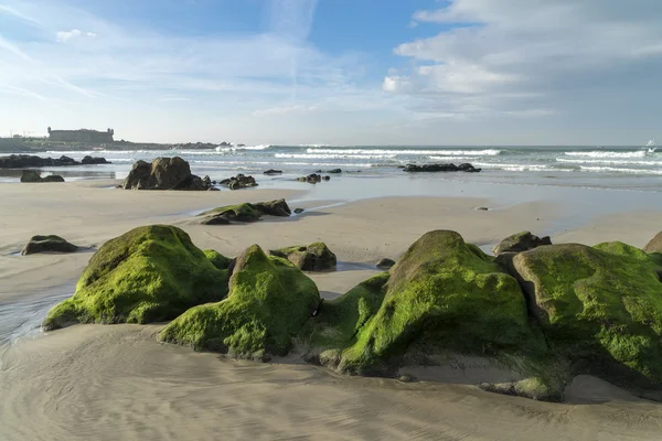 Praia Internacional cerca del Castillo de Queijo, Oporto, Portugal —  Fotos de Stock