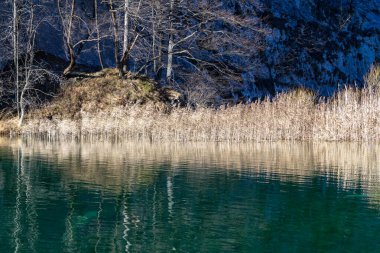 Plitvice gölleri kışın Hırvatistan 'da milli parkı kapsıyor. Plitvice gölleri dünyanın en güzel yerlerinden biridir.