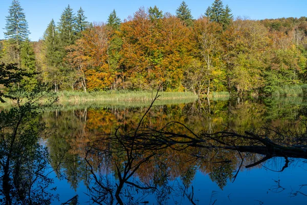 Plitvice Gölleri Ulusal Parkı 'nın egzotik şelalesi ve göl manzarası, UNESCO doğal mirası ve Hırvatistan' ın ünlü seyahat beldesi