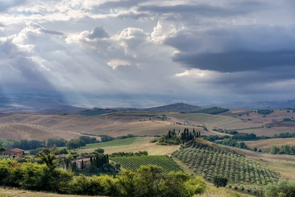 Σύννεφα Πρωί Στους Λόφους Της Τοσκάνης Στο San Quirico Orcia — Φωτογραφία Αρχείου