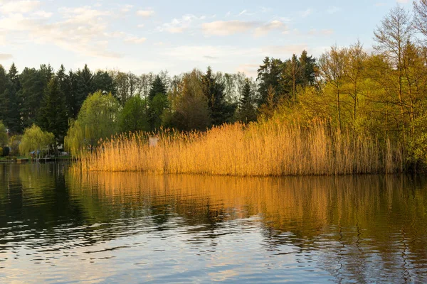 Muggelsee Одне Найбільших Озер Берліні Озеро Має Кілька Пляжів Пірсів — стокове фото