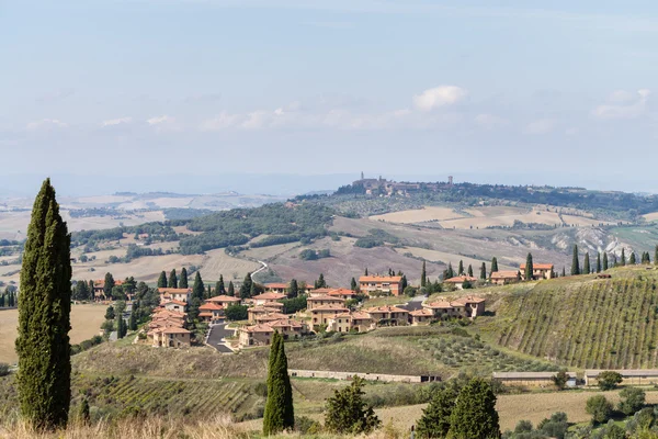 Cipressi in Toscana, paesaggio italiano — Foto Stock