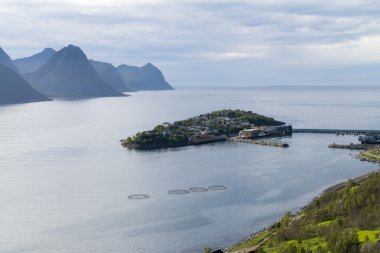 Husoy, Norge, rocks, coast, harbor