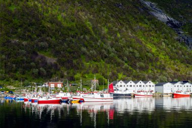 Husoy, Norge, rocks, coast, harbor