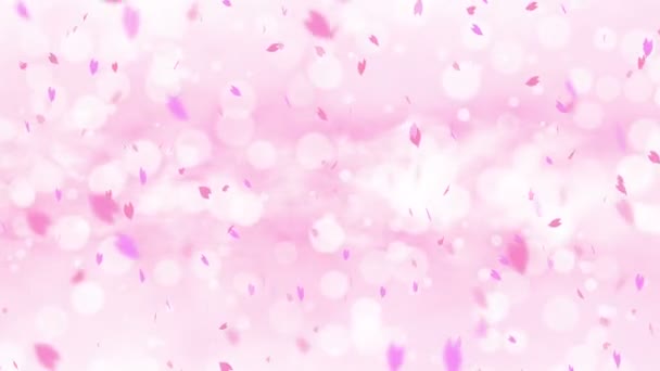 Kleurrijke Heldere Bloemblaadjes Swingend Het Voorjaar Achtergrond Met Zon Fakkels — Stockvideo