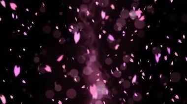 Renkli parlak taç yaprakları bahar arkaplanında sallanıyor. Güzel doğa sahnesi. İllüstrasyon kiraz çiçeği yaprakları. Soyut yay grafiği. Döngü canlandırması.