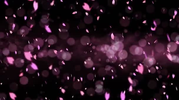 Kleurrijke Heldere Bloemblaadjes Swingend Het Voorjaar Achtergrond Met Zon Fakkels — Stockvideo