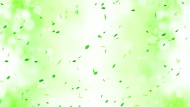 Renkli parlak yapraklar yaz arkaplanında güneş ışığıyla sallanıyor. Güzel doğa sahnesi. Taze yaprak çizimi. Yaz grafiği Döngü canlandırması.