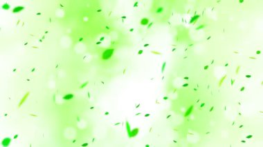 Renkli parlak yapraklar yaz arkaplanında güneş ışığıyla sallanıyor. Güzel doğa sahnesi. Taze yaprak çizimi. Yaz grafiği Döngü canlandırması.