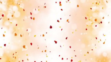 Parlak renkli yapraklar, sonbahar arka planında güneş ışığıyla sallanıyor. Güzel doğa sahnesi. Akçaağaç yaprakları. Soyut grafiği düşür. Döngü canlandırması.