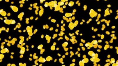 Siyah arka planda bir sürü mısır tanesiyle uçuyor. Sarı mısır tohumları. Vejetaryen. Sağlıklı yiyecekler. Dönen mısırın 3 boyutlu döngü animasyonu.