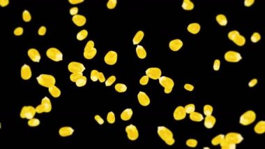 Siyah arka planda bir sürü mısır tanesiyle uçuyor. Sarı mısır tohumları. Vejetaryen. Sağlıklı yiyecekler. Dönen mısırın 3 boyutlu döngü animasyonu.